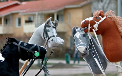 Want to help at the Cavalcade?