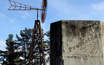 Help out at the Sharing Shed at the A&P Show