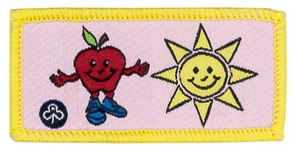 Pippin / brownie / guide leaders wanted!