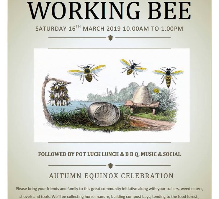 Hawea Flat Food Forest Working Bee – all details here! March 16th.