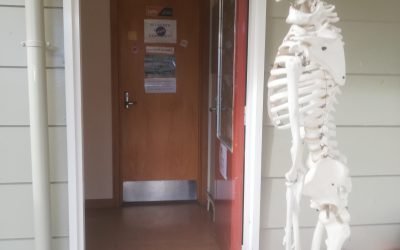 It’s always great to get visitors…