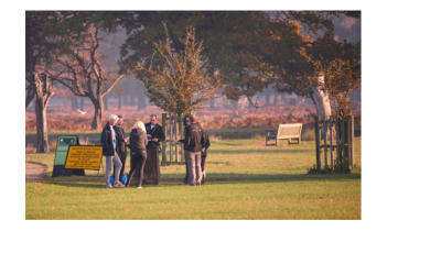 want to volunteer at Parkrun?