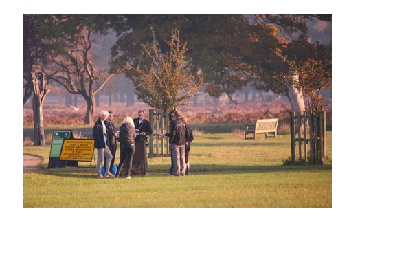 want to volunteer at Parkrun?