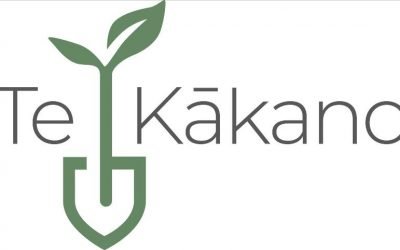 update from Te Kakano