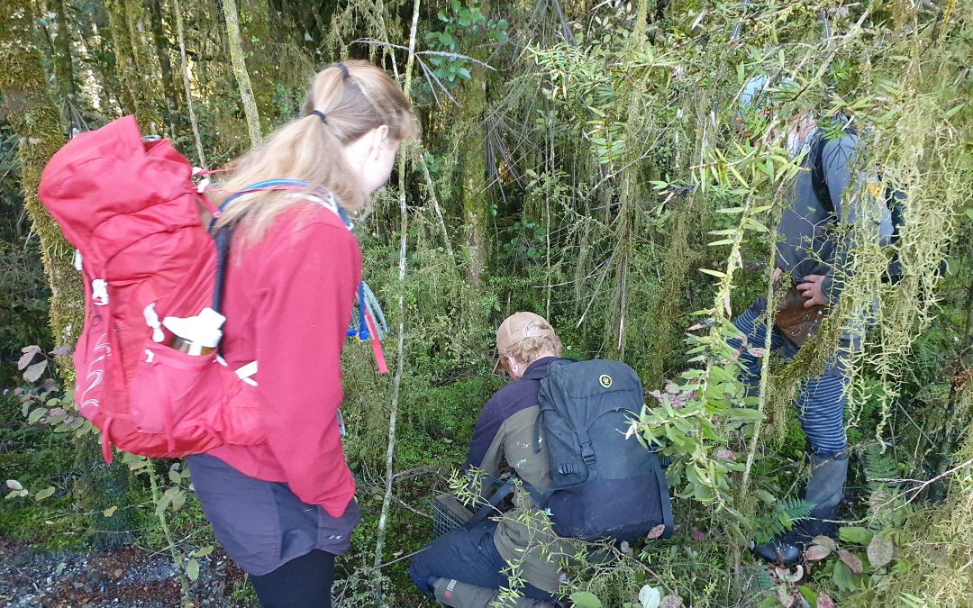 The trapping project