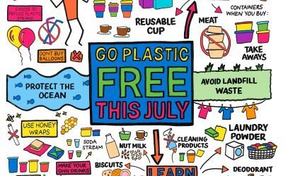plastic free July – what can YOU do?